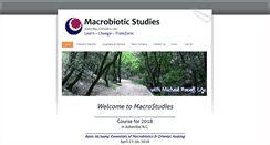 Desktop Screenshot of macrostudies.com