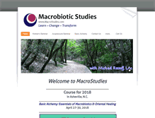 Tablet Screenshot of macrostudies.com